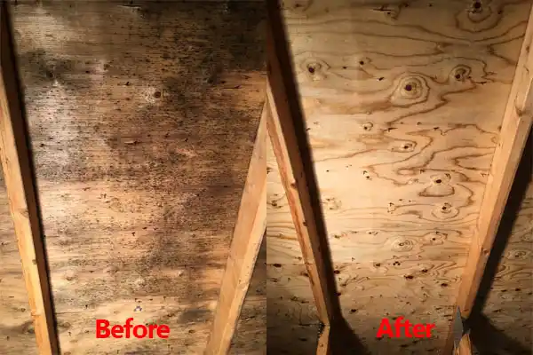 water damage restoration service Starbuck